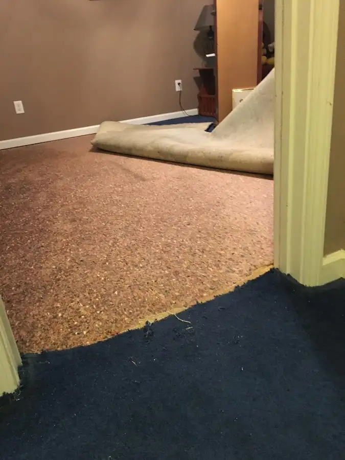 Carpet pad removal revealing water damage during Drying & Dehumidification in Volney